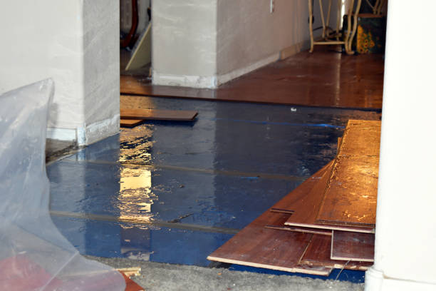 Professional Sewage Cleanup technician working in Ledbetter, KY